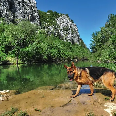 Prázdninový dům 05